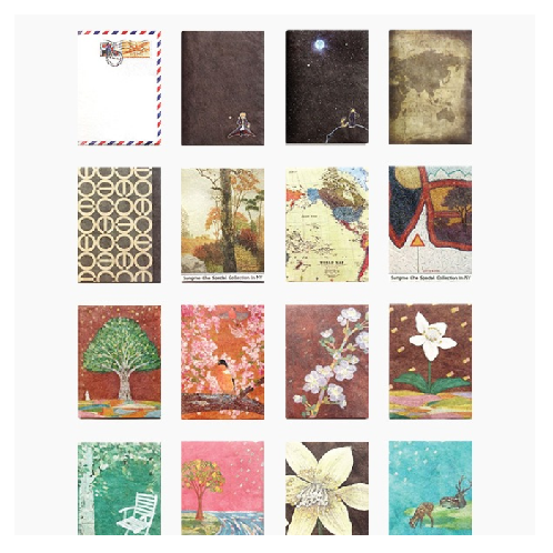 Tyvek® Passport Wallet